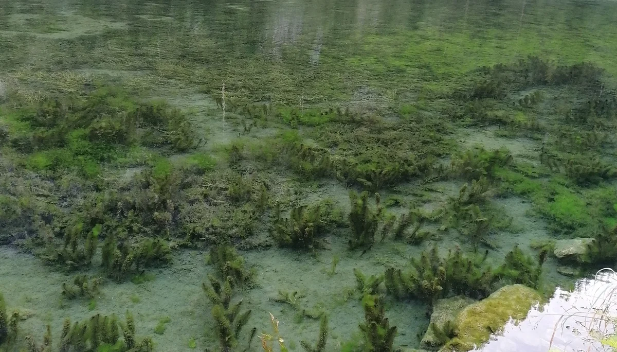 © Südostbayernbike