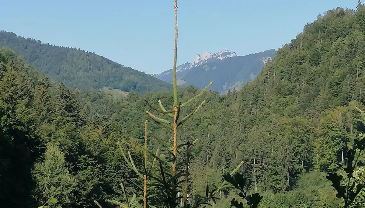 © Südostbayernbike